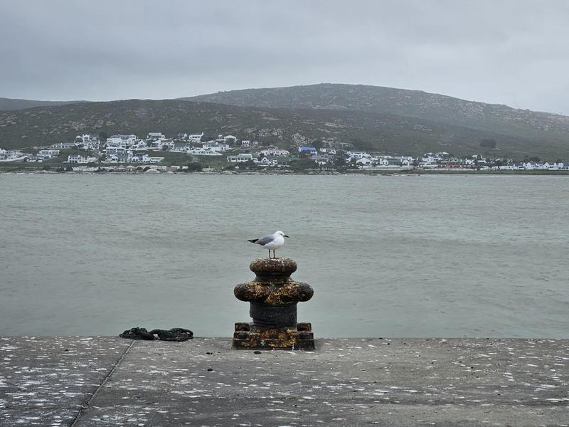 3 Bedroom Property for Sale in Britannia Bay Western Cape